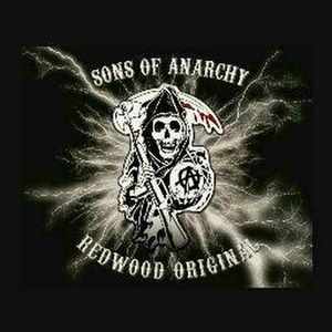 Meet your Posher, Damon